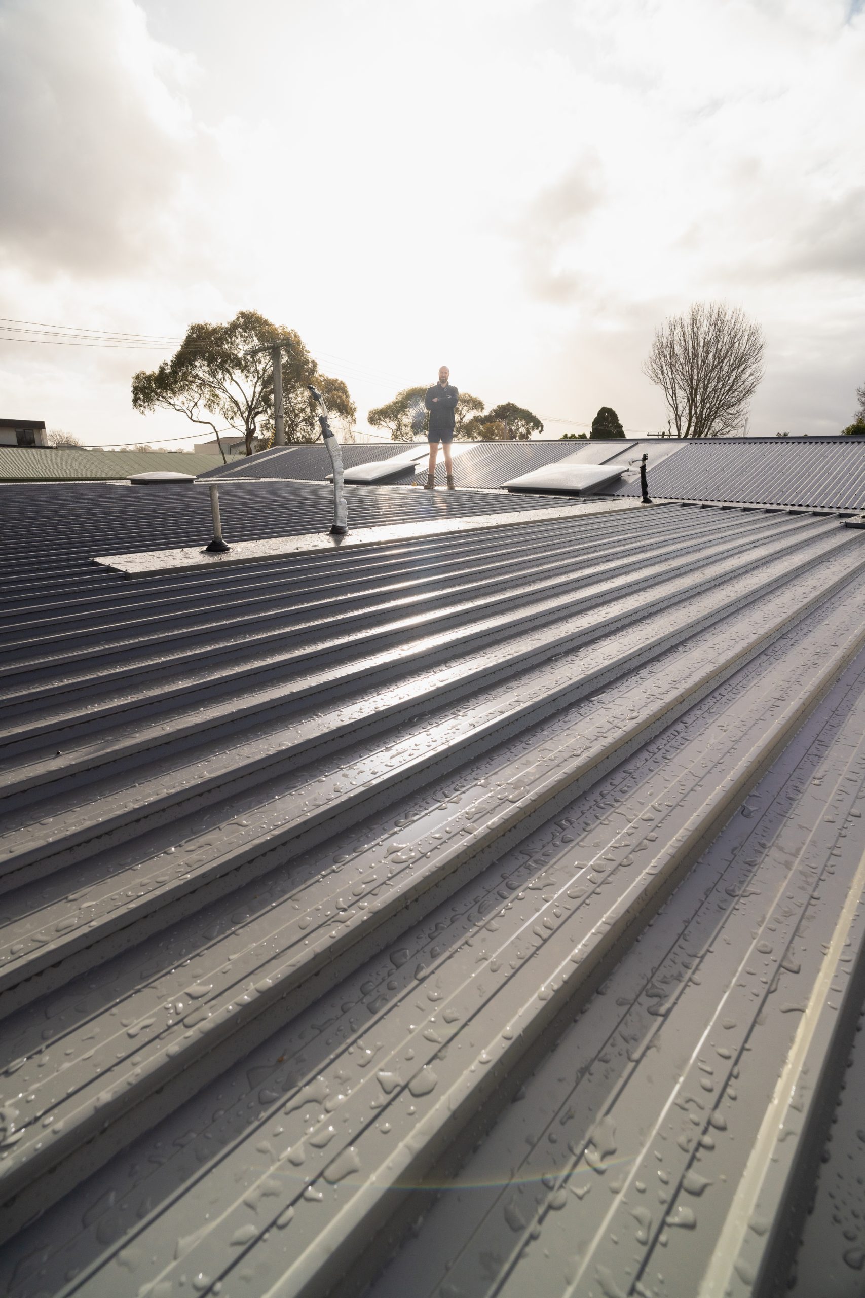 Roof Replacements