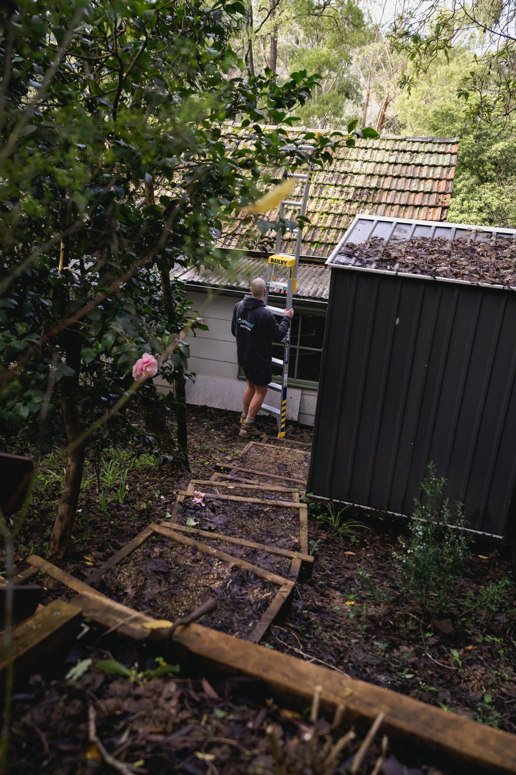 Roof Repairs